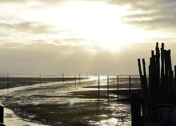 T2 Situation Exceptionnelle Sur Le Port Ostreicole D'andernos